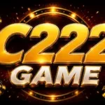 C222 Game