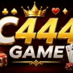 C444 Game